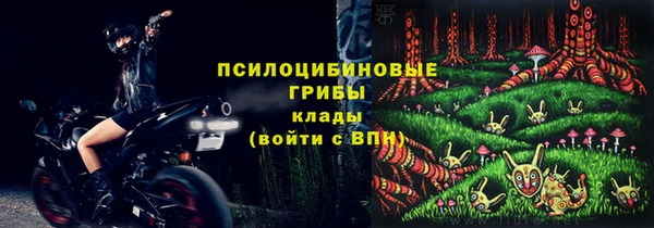 стафф Богородск