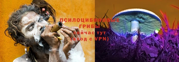 круглые Верея