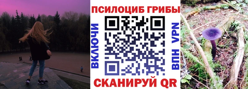 Галлюциногенные грибы мухоморы  наркошоп  Выборг 
