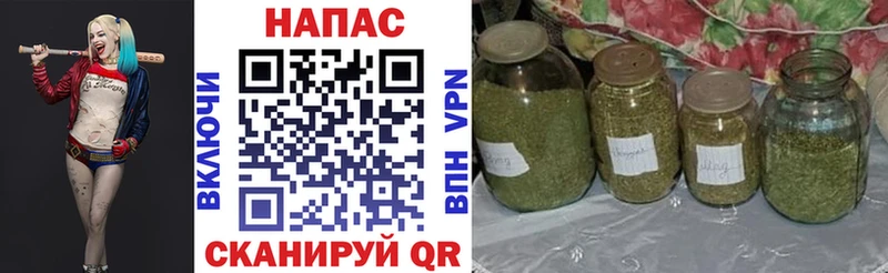как найти наркотики  Выборг  МАРИХУАНА индика 